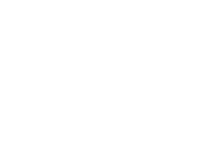 Iron Forge